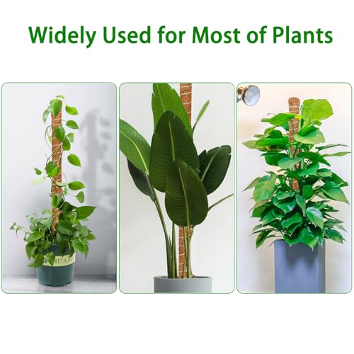 2 Pack 63'' Moss Pole for Monstera, Bendable Coco Coir Plant Support Stakes - size: 2 Pack（63-Inch）