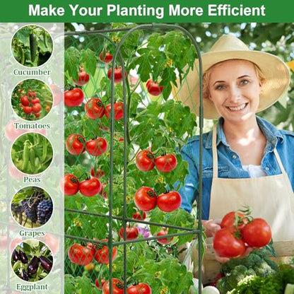 Cucumber Trellis for Raised Bed 5.4x5.5ft U-Shape Adjust Metal Garden Trellis for Climbing Plants Outdoor with Climbing Net Vegetable Arch Trellises Support Plant for Tomato Pea Fruit Squash Trellises - size: 1pack 66 x 65 Inch