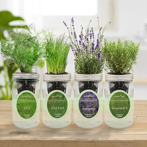 Rosemary, Lavender, Dill & Chives Mason Jar Herb Garden Kit, Aromatic Savory Herb Collection, 4 Pack Indoor Hydroponic Growing Kit - color: Rosemary+Lavender+Dill+Chives
