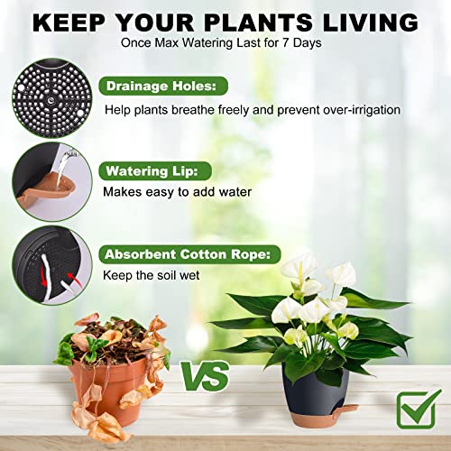 7/6.5/6/5.5/5 Inch Self Watering Pots for Indoor/Outdoor Plants, 5 Pack - color: Black-5pack, size: 7/6.5/6/5.5/5 inch