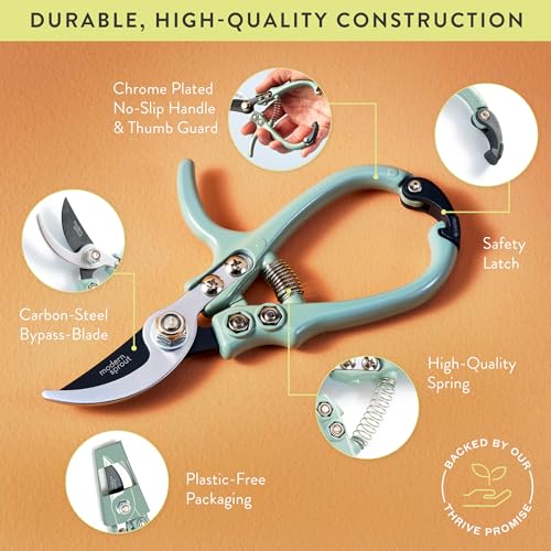 Modern Sprout Bypass Hand Pruners - Scissors - Gardening Tools - Sage - color: Sage