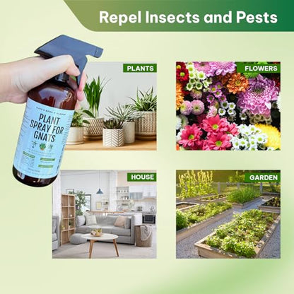 Kate's Garden Plant Spray for Insects & Getting Rid of Gnats (16oz)