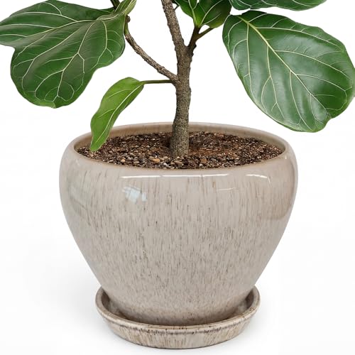 Deep Dream 10 Inch Plant Pot- Ceramic Planter Pot Round Plant Pots for Indoor Plants Outdoor Large Flower Pot with Drainage Holes & Trays, Beige - color: Beige, size: 10 Inch