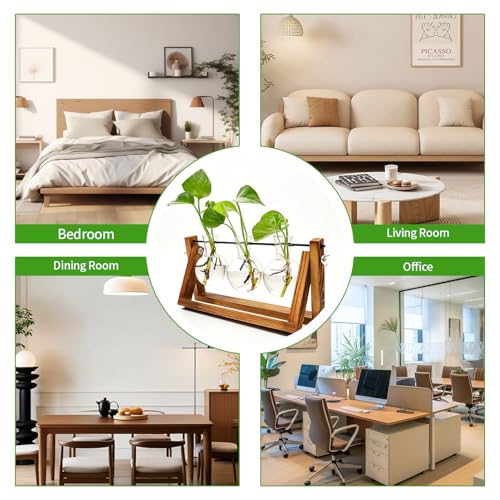 Plant Terrarium with Wooden Stand & 3 Glass Bulb Vases, Metal Swivel Holder Retro Tabletop, Propagation Vases for Indoor Plants, Gardening Gifts for Plants Lovers