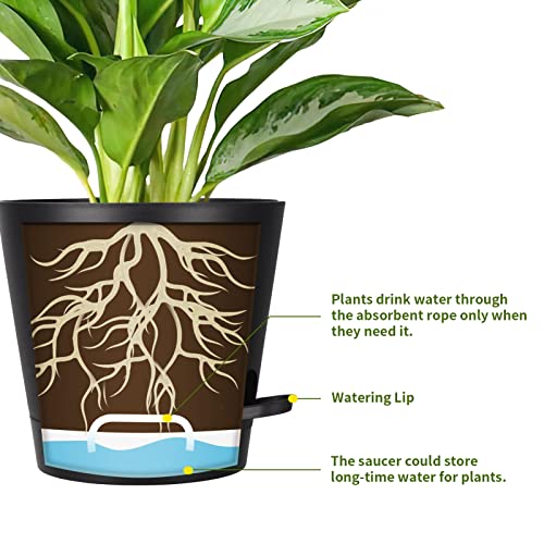 8 Inch Self Watering pots for Indoor, 6 Pack Plastic Plant Pots with Drainage Holes, Black