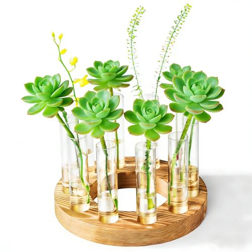Melphoe Glass Bud Vases Small Flower Vase for Centerpieces Wedding Table Decorations, Home Decor, Propagation Station Plant Terrarium with Wooden Stand, Unique Plant Lover Gifts for Women (Brown) - color: Brown