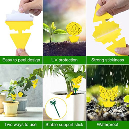 Yellow Sticky Traps 60 Pk, Fruit Fly & Fungus Gnat Traps Indoor Outdoor Use - size: 60 Packs