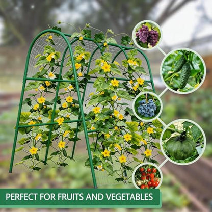 Garden Arch Trellis for Raised Beds, 4x5.3FT Plant Support for Cucumbers, Melons, Grapes, Roses & Climbing Vegetables, Outdoor Rust-Resistant Trellis for Vertical Growing, Green - size: 4x5.3x2 Ft
