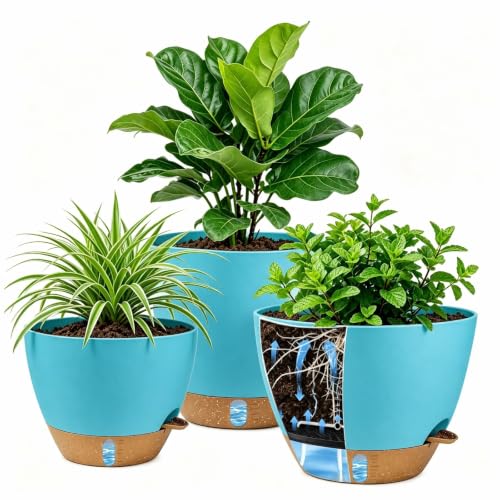 Ecolley Plant Pots 8/10/12 Inch Self Watering Pots, Set of 3 Plastic Planters with Drainage Holes and Saucers,Plastic Flower Pots,Nursery Planting Pot for Indoor Out Door PlantsBlue Green - color: Blue Green