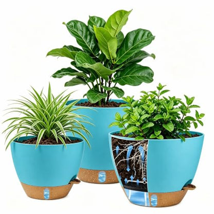 Ecolley Plant Pots 8/10/12 Inch Self Watering Pots, Set of 3 Plastic Planters with Drainage Holes and Saucers,Plastic Flower Pots,Nursery Planting Pot for Indoor Out Door PlantsBlue Green - color: Blue Green