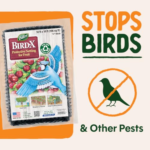 Dalen Bird-X Protective Mesh Netting for Fruit Trees & Berries, 14 x 45 ft - size: 14'X45'