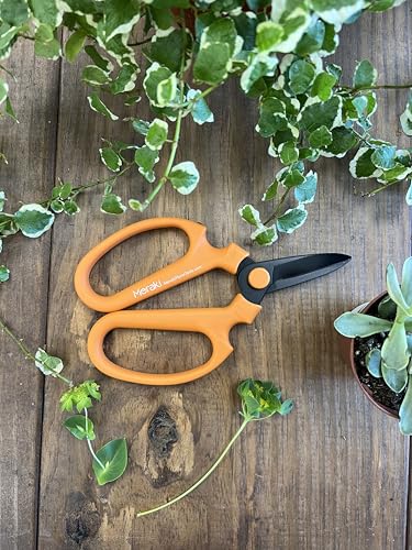 Garden Pruning Shears Scissors Carbon Steel Blades 7.0 In, Ornithogalum - Orange - style: 7.0 inch Orange