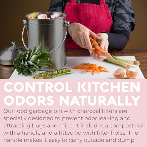 Epica Kitchen Compost Bin for Kitchen Countertops, 1.3 Galllon - Grey - color: Gray