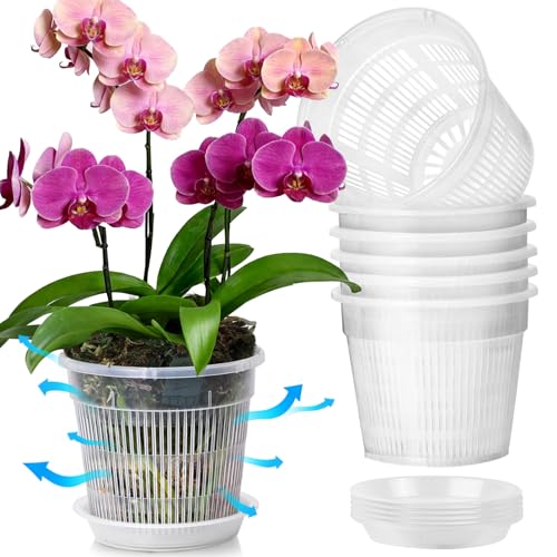 T4U Clear Orchid Pots 6.3 Inch 6 Pack, Orchid Pot with Holes Repotting - size: 6.3 Inch, 6 Pack