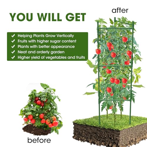 3 Pack Tomato Cage,Tomato Cage for Raised Garden Bed, 48'' Tall Tomato Trellis Triangle or Square Cages for Garden,Pots, Plant Cages & Supports（Green, Extra Bold ） - style: 3 pack