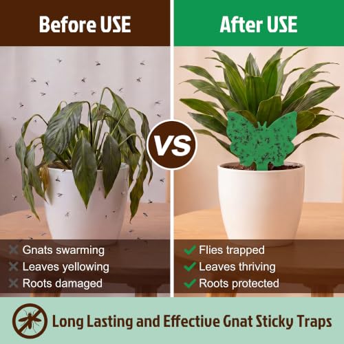 100 Pack Gnat Traps, Double Sided Plant Sticky Traps for Indoor Bug, Green - color: Green