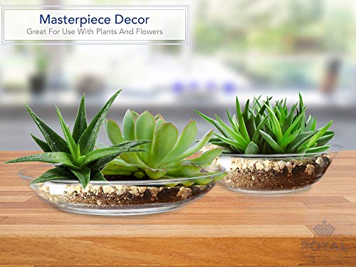 Royal Imports 10" Clear Plastic Saucer Plant Drip Tray 6 Pack - size: 11"