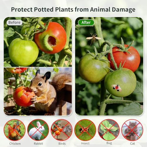 1PC Large Netting Tent for Garden Protection, Mesh Plant Cover from Animals - color: Black 1pc