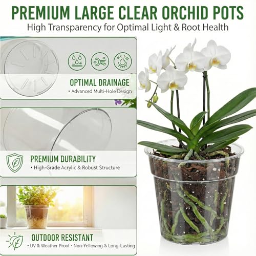 8/10 Inch Large Clear Nursery Pots with Drainage, 6 Pack - size: 10/8inch