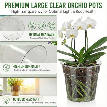8/10 Inch Large Clear Nursery Pots with Drainage, 6 Pack - size: 10/8inch
