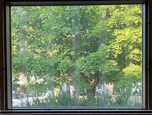 COLLIDESCAPE Spiderweb Clear BirdTape for Windows (3/4" x 40' - Covers 2 to 3 panes) | Window Bird Tape Decals to Prevent Bird Strike Prevention for Glass | Clear - size: 3/4 x 40'