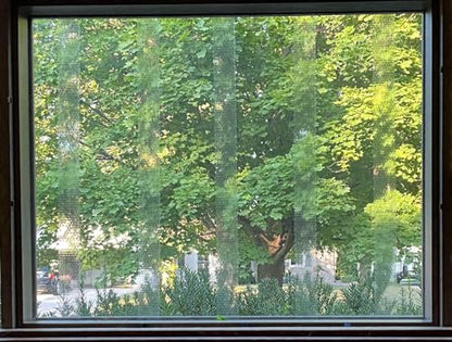 COLLIDESCAPE Spiderweb Clear BirdTape for Windows (3/4" x 40' - Covers 2 to 3 panes) | Window Bird Tape Decals to Prevent Bird Strike Prevention for Glass | Clear - size: 3/4 x 40'