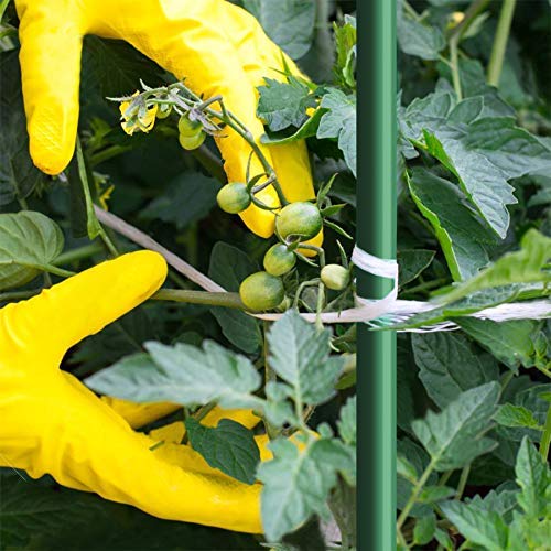 Garden Stakes 5/16" Dia, 5 FT FRP Plant Supporting Stakes for Climbing Tomato Cucumber Strawberry Bean Tree, Pack of 20, Dark Green - size: 5/16"Dia x 5Ft Height(20 packs)