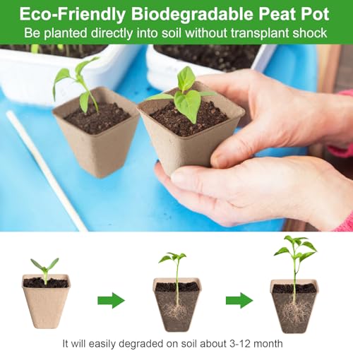 Baxrou 120 Pack 3.15 Inch Square Peat Pots for Seedlings - style: Square