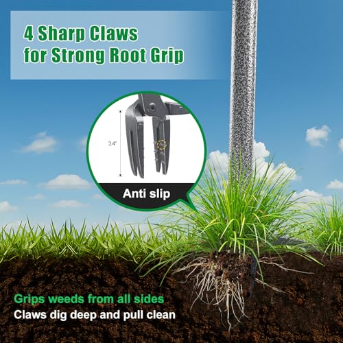 Lilyvane Weed Puller Tool, Stand Up Manual Weeder, Heavy Duty Garden Weeding Tool with 60 inch Long Handle,4 Claw Steel Head, Uprooting Dandelion Removal Gardening Tools for Lawn Grass Grabber