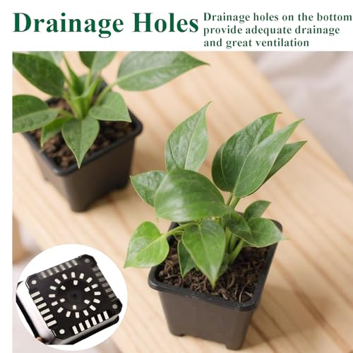 25 Packs Square Nursery Pots for Plants 4 Inch Seedling Pots with Holes - size: 4 Inch