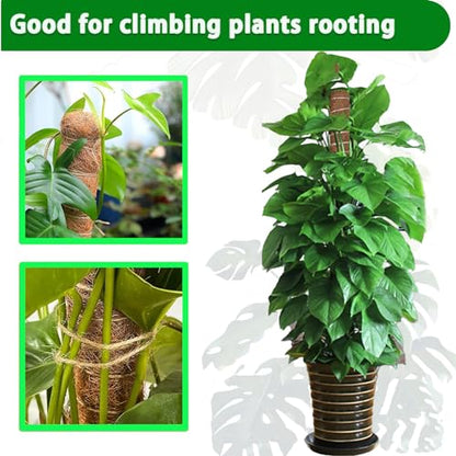 Moss Pole, 2 Pack 17 Inch Monstera Plant Support for Climbing Plants Accessories Indoor, Stackable Moss Poles Plant Support Stakes, Coir Plant Pole Sticks for Potted Plants, Pothos, Philodendron - size: 2pcs x 17 Inches