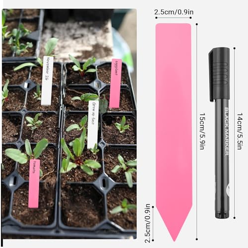 Greaner 6 Inch Plant Name Tags, 50PCS Plastic Garden Plant Markers, Plant Labels for Garden, Plant Identification Stakes for Indoor Outdoor Plants, Succulents, Trees, Herbs, Seeds, Vegetable(Colorful) - color: Multicolored, size: 0.9x6 Inch-50 PCS