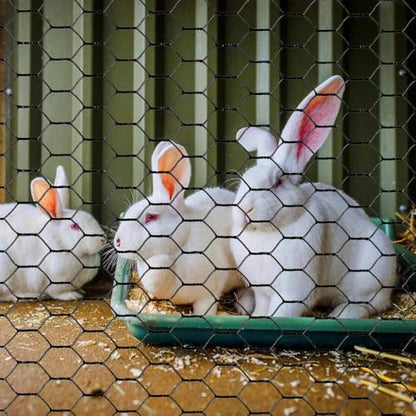 PVC Hexagonal Poultry Netting Chicken Wire 36" x150' x 1" Mesh 20GA Black - size: 36"x150'-1" 20GA