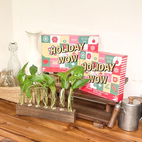 KAXYEW Desktop Glass Plant Propagation Station Test Tube Plant Terrarium in Wooden Stand for Hydroponic Plants Cutting Office Home Decoration - color: Brown, size: 7 Tubes