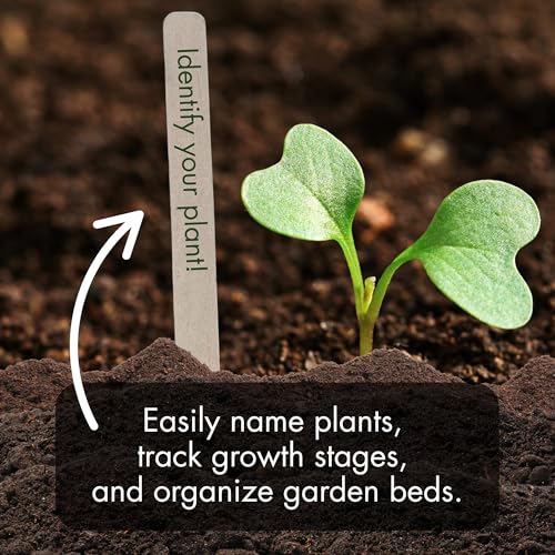 100% Natural Wood Plant Markers - 10 Inches Tall - for Field and Garden Use - Eco-Friendly & Sustainable Plant Identification - Made in USA - (Pack of 25)