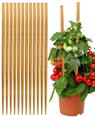 12 Pack 17.5 Inch Plant Stakes for Indoor Plants,Bamboo Sticks for Plants Bamboo Poles Plant Support Stakes Garden Supplies Tomato Trellis for Outdoor Plants