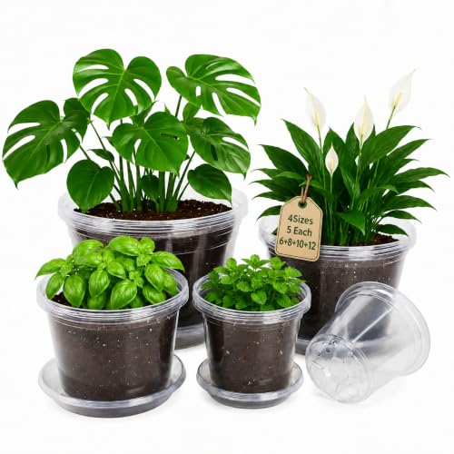 Bluepro Clear Nursery Pots with Saucers, 6/8/10/12 Inch, 20-Pack - size: 6/8/10/12 Inch-20Pcs