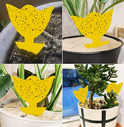 Fruit Fly Trap 48 Pack Yellow Sticky Gnat Killer Traps for Indoor Plants - size: 48 Packs
