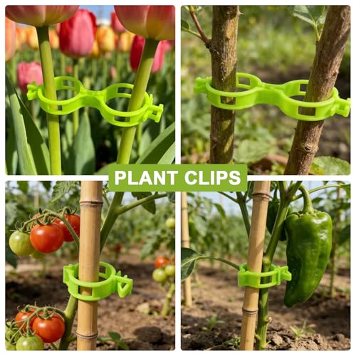 150 Pcs Plant Support Clips, 2026 New Upgraded Adjustable Plastic Clips for Securing Plants, Tomato Vine Clips, Plant Fixing Clips, Garden Clips for Climbing Plants, Grape and Vine Vegetables (Green) - color: Green