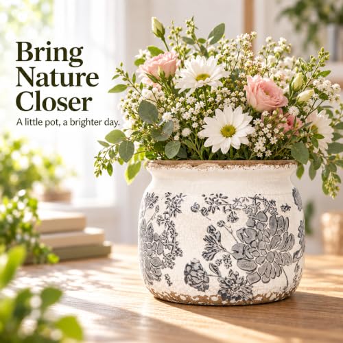 Dosayes Flower Pot,Vintage Ceramic Pot for Plant with Drainage Holes - color: Gray