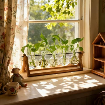 Renmxj Plant Propagation Stations with Wooden Stand & 5 Glass Bulb Vases - size: 5 Bulb Vase