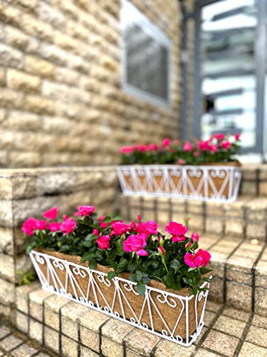 LaLaGreen Fence Wall Planter (24 in, 2 Pack) White Coco Liner Trough Box - size: 24" (61cm) x 2 Pack