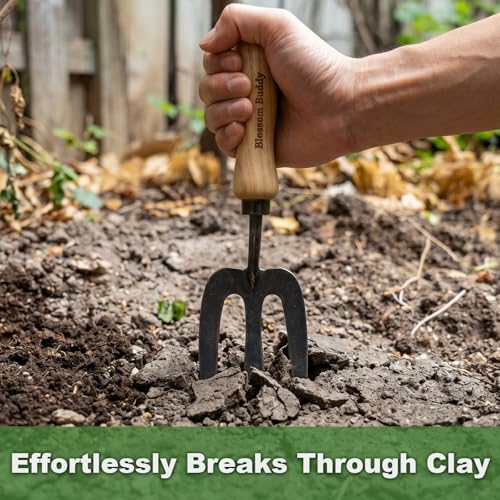 Stainless Steel Garden Hand Fork, Hand Weeder Fork with Ash Wood Handle - size: 31CM Garden Fork