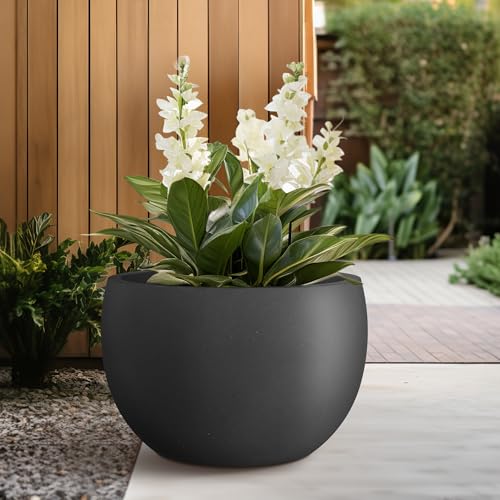 Kante Large Round Bowl Black Concrete Planter 20" Dia, Outdoor - color: Black, size: 19.9" d