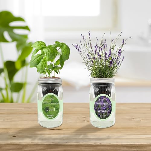 2-Pack Hydroponic Mason Jar Herb Garden Kit, Indoor Herb Garden Self-Watering Starter Kit (Basil,Lavender)