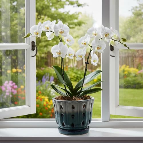 Ceramic Orchid Pot with Holes 6'' Orchid Planter (cream over turquoise) - color: Cream Over Turquoise