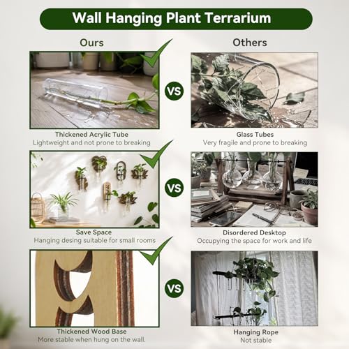 Artilady Plant Propagation Station Wall Hanging, Planter Terrariums Tube - color: Moon phase