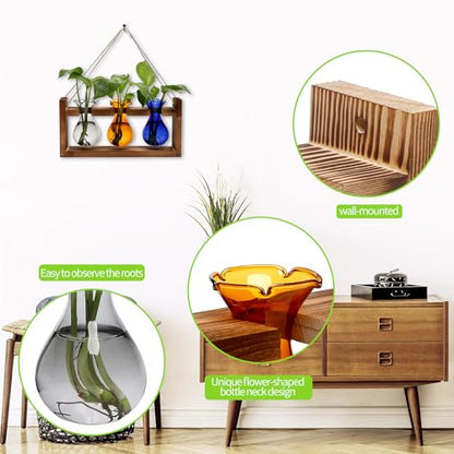 Plant Propagation Station Plant Terrarium Unique Birthday Gifts for Women - color: Color03