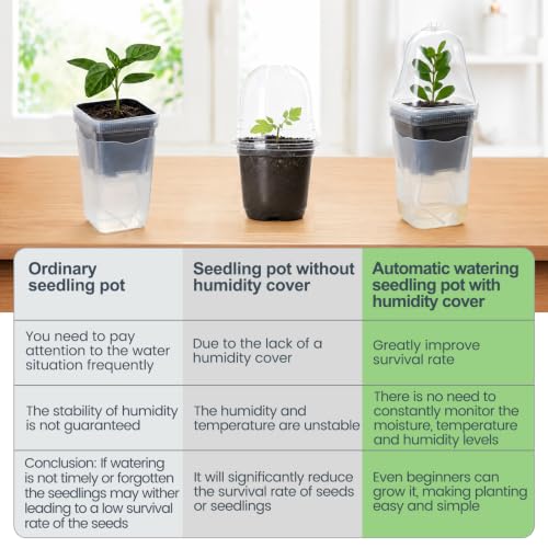 12 Pcs Clear Small Self Watering Pots for Indoor Plants