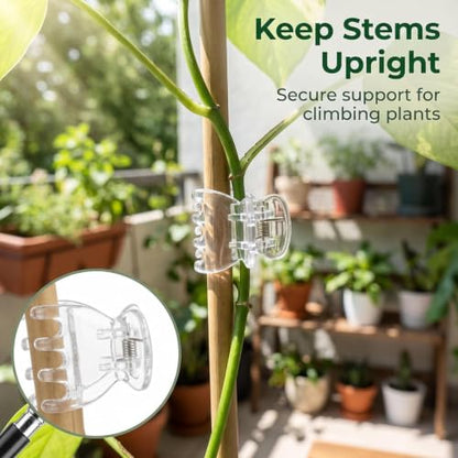 50 Pcs Plant Support Clips,Plant Orchid Clips Flowers Support Clear Fixer for Garden Vine Stem Plants Climbing Clasp Transparent 6 Claws Orchid Plastic Butterfly Plant Support Garden Structures